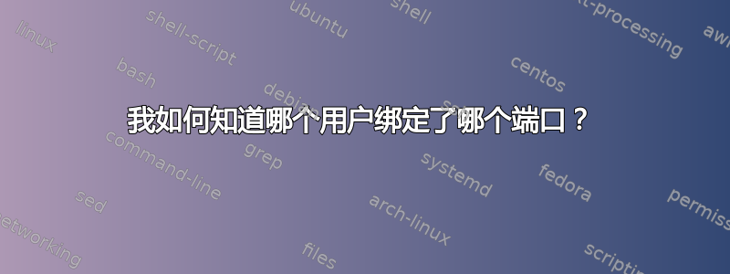 我如何知道哪个用户绑定了哪个端口？