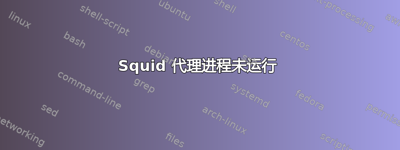 Squid 代理进程未运行