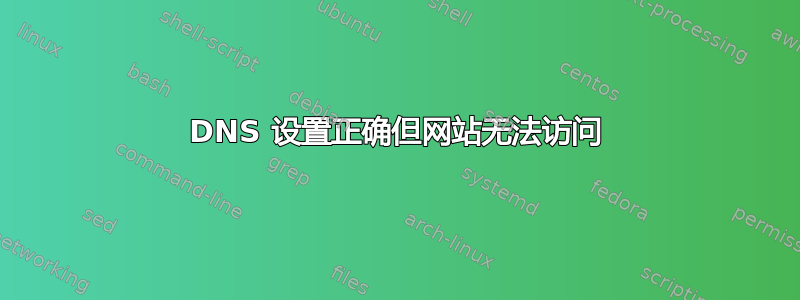 DNS 设置正确但网站无法访问