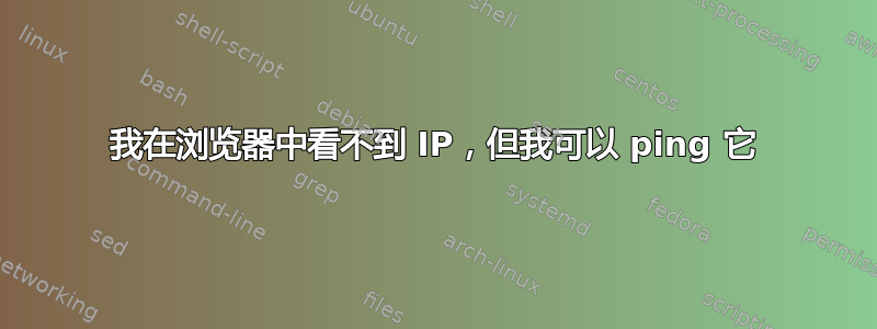 我在浏览器中看不到 IP，但我可以 ping 它