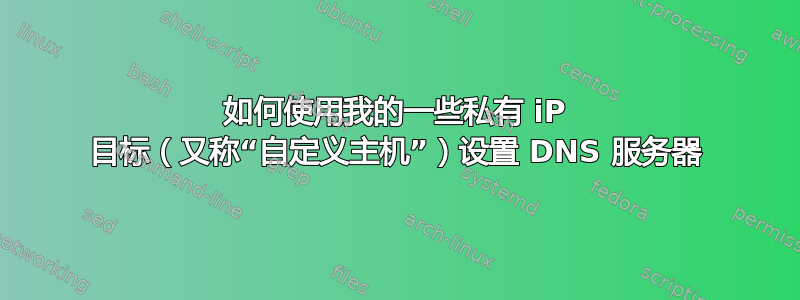 如何使用我的一些私有 iP 目标（又称“自定义主机”）设置 DNS 服务器