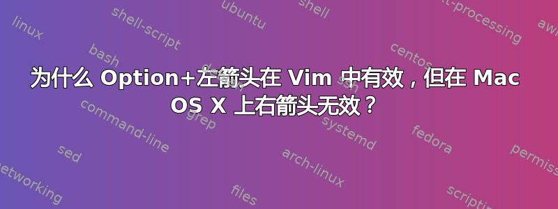 为什么 Option+左箭头在 Vim 中有效，但在 Mac OS X 上右箭头无效？