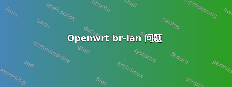 Openwrt br-lan 问题