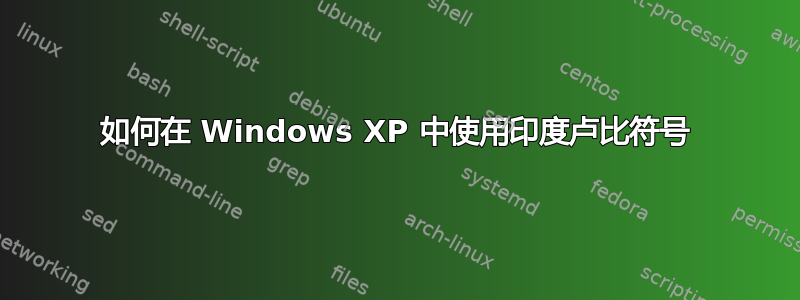 如何在 Windows XP 中使用印度卢比符号