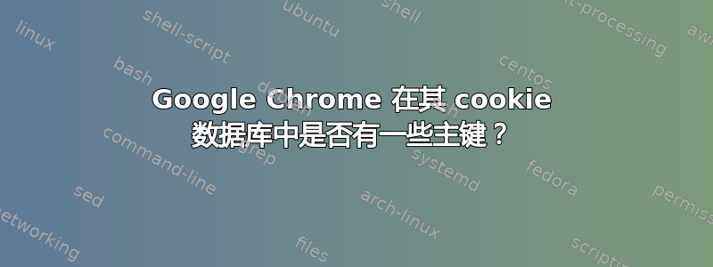 Google Chrome 在其 cookie 数据库中是否有一些主键？