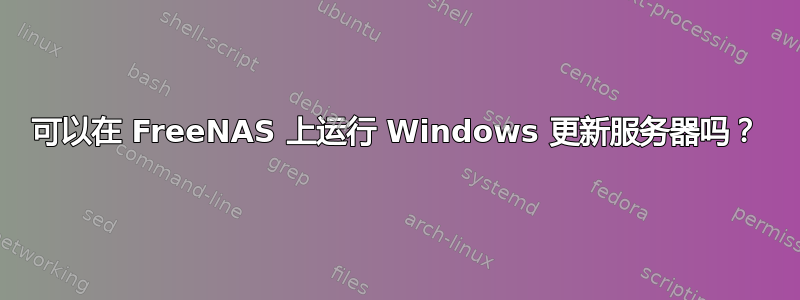 可以在 FreeNAS 上运行 Windows 更新服务器吗？