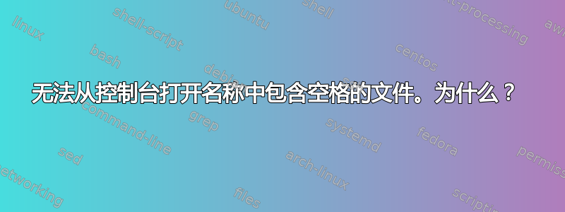 无法从控制台打开名称中包含空格的文件。为什么？ 