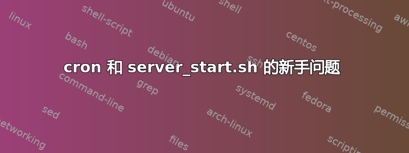 cron 和 server_start.sh 的新手问题