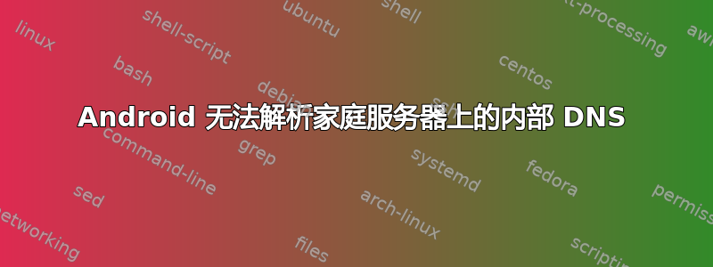 Android 无法解析家庭服务器上的内部 DNS