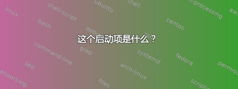 这个启动项是什么？