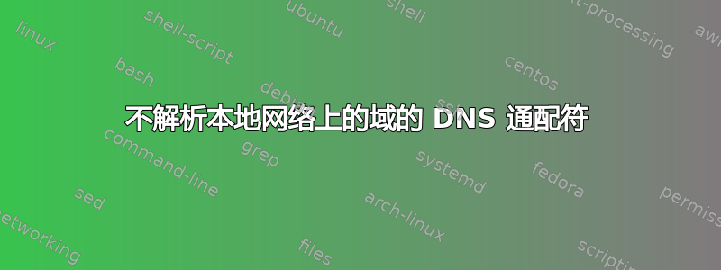 不解析本地网络上的域的 DNS 通配符