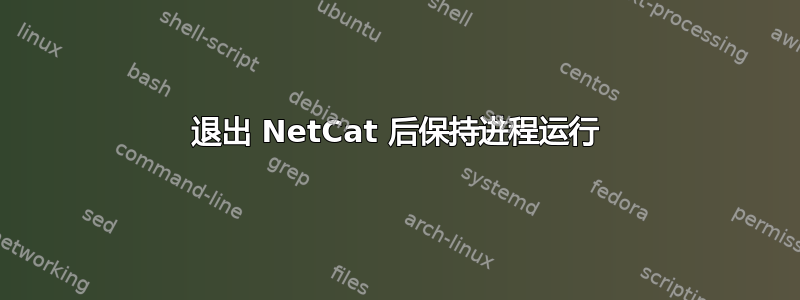 退出 NetCat 后保持进程运行