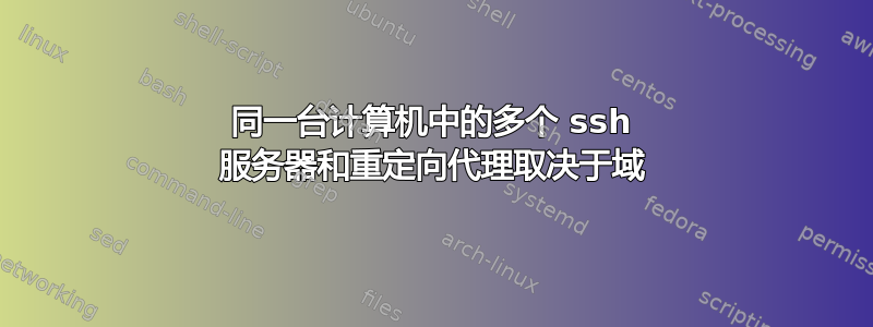 同一台计算机中的多个 ssh 服务器和重定向代理取决于域