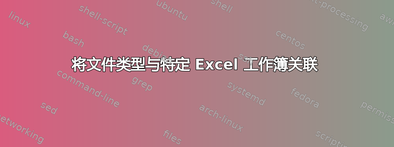 将文件类型与特定 Excel 工作簿关联