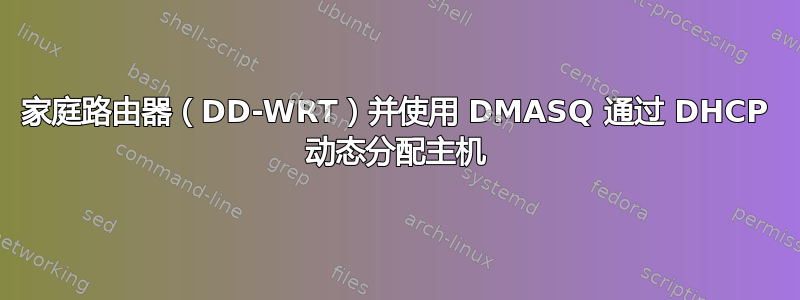 家庭路由器（DD-WRT）并使用 DMASQ 通过 DHCP 动态分配主机