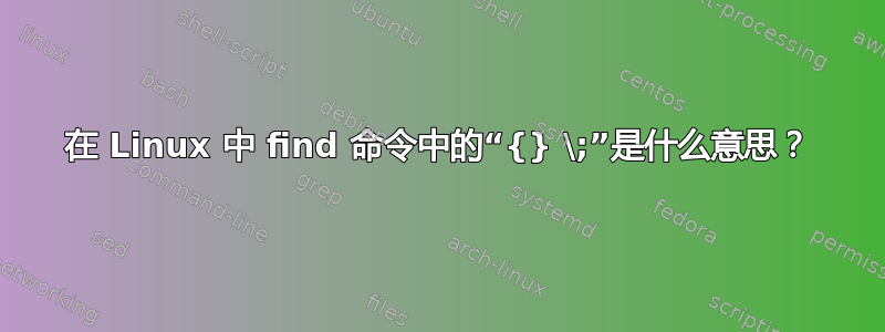 在 Linux 中 find 命令中的“{} \;”是什么意思？