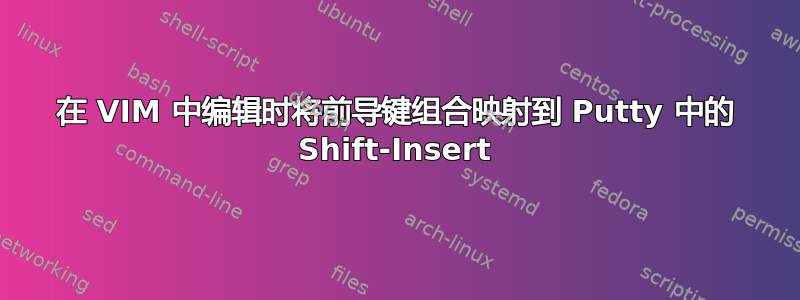 在 VIM 中编辑时将前导键组合映射到 Putty 中的 Shift-Insert