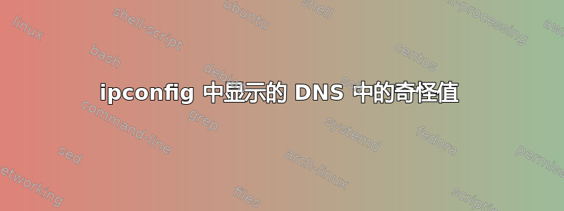 ipconfig 中显示的 DNS 中的奇怪值