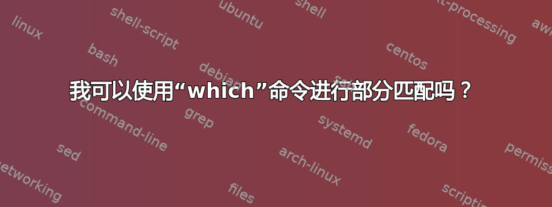 我可以使用“which”命令进行部分匹配吗？