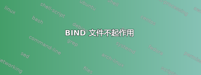 BIND 文件不起作用