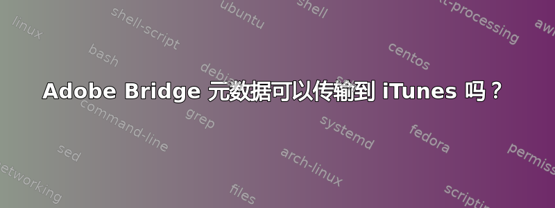 Adobe Bridge 元数据可以传输到 iTunes 吗？