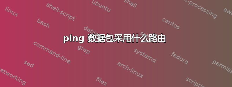 ping 数据包采用什么路由