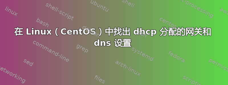 在 Linux（CentOS）中找出 dhcp 分配的网关和 dns 设置