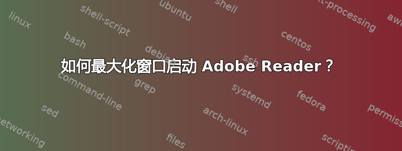 如何最大化窗口启动 Adob​​e Reader？