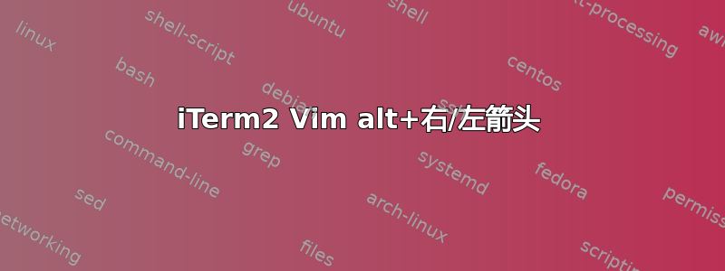 iTerm2 Vim alt+右/左箭头