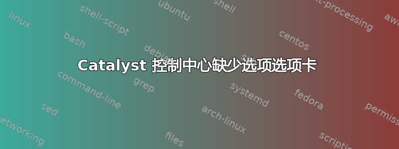 Catalyst 控制中心缺少选项选项卡