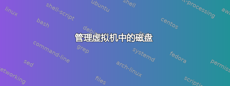 管理虚拟机中的磁盘