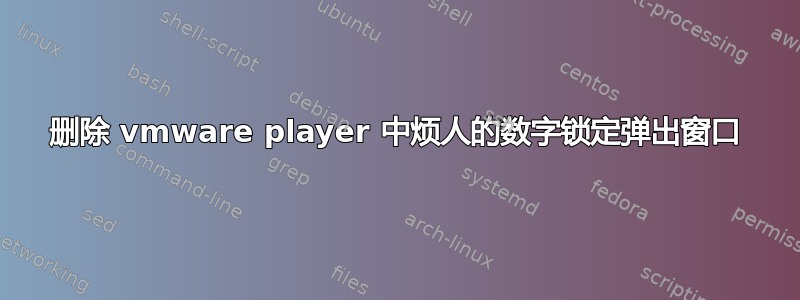 删除 vmware player 中烦人的数字锁定弹出窗口