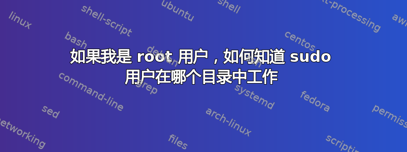 如果我是 root 用户，如何知道 sudo 用户在哪个目录中工作