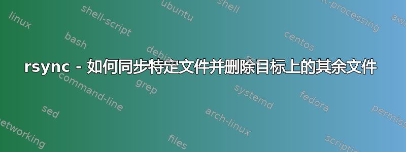 rsync - 如何同步特定文件并删除目标上的其余文件