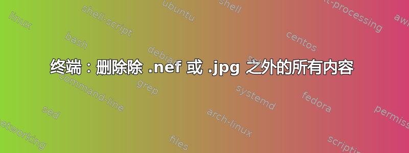 终端：删除除 .nef 或 .jpg 之外的所有内容