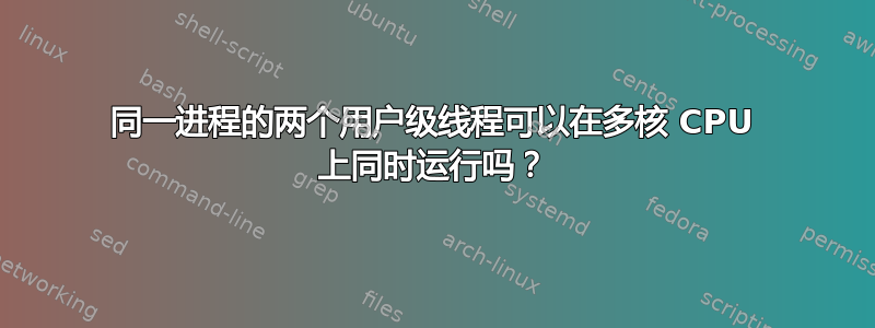 同一进程的两个用户级线程可以在多核 CPU 上同时运行吗？