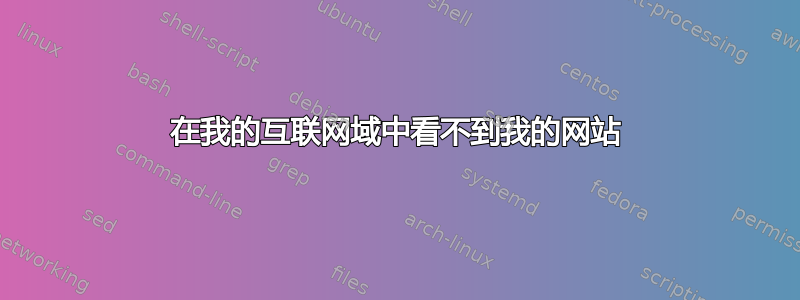 在我的互联网域中看不到我的网站