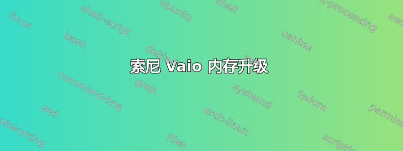 索尼 Vaio 内存升级