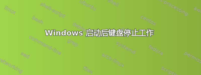 Windows 启动后键盘停止工作