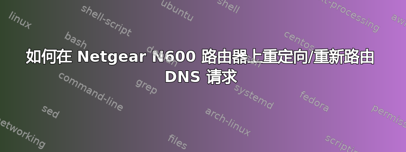 如何在 Netgear N600 路由器上重定向/重新路由 DNS 请求