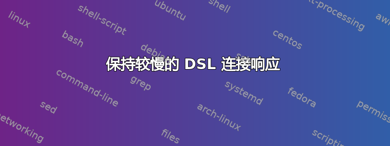 保持较慢的 DSL 连接响应