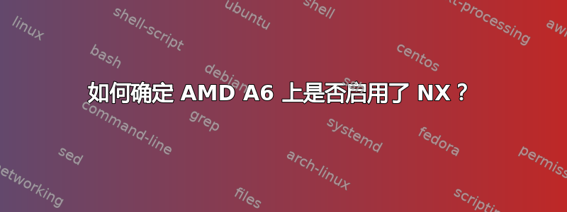 如何确定 AMD A6 上是否启用了 NX？