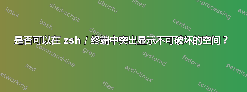 是否可以在 zsh / 终端中突出显示不可破坏的空间？