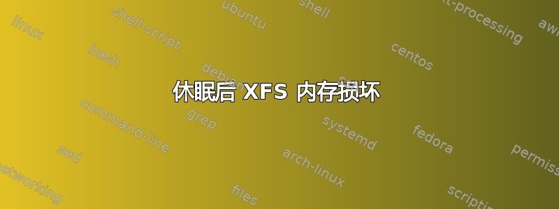 休眠后 XFS 内存损坏