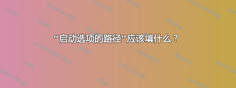 “启动选项的路径”应该填什么？