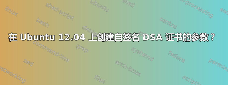 在 Ubuntu 12.04 上创建自签名 DSA 证书的参数？