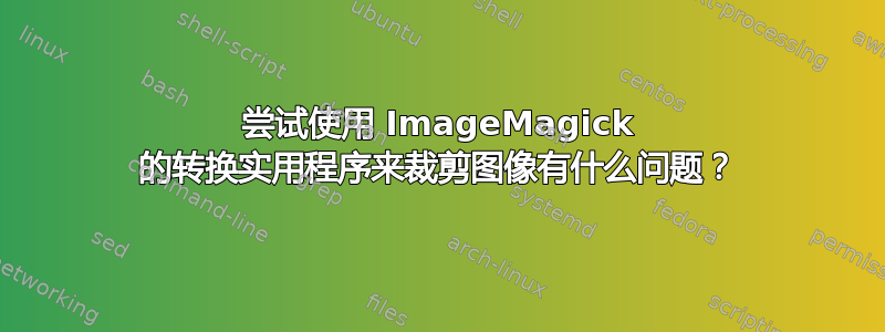 尝试使用 ImageMagick 的转换实用程序来裁剪图像有什么问题？