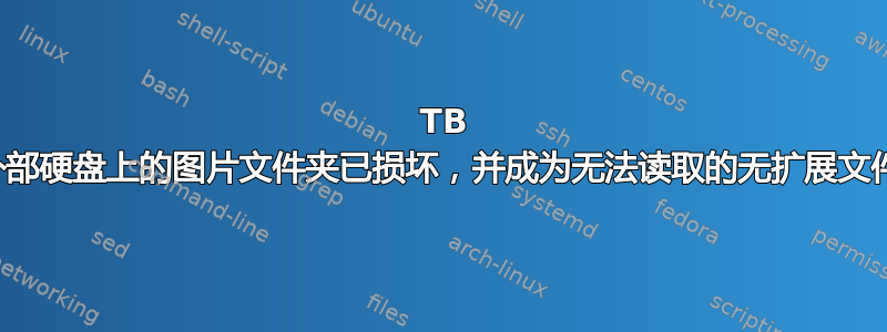 1 TB 外部硬盘上的图片文件夹已损坏，并成为无法读取的无扩展文件