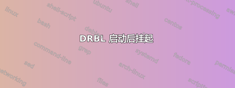 DRBL 启动后挂起