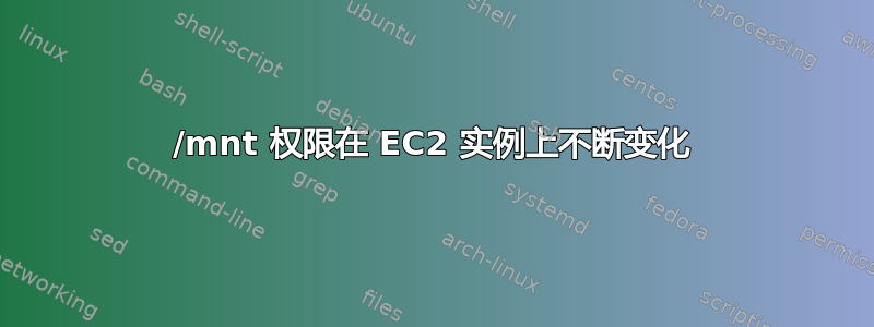 /mnt 权限在 EC2 实例上不断变化